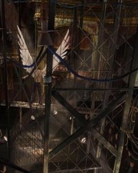 Angel sera bien de retour dans X-Men : Apocalypse