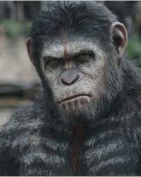 Secrets de tournage : La Planète des Singes