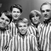 The Beach Boys