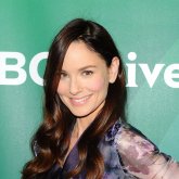 Sarah Wayne Callies