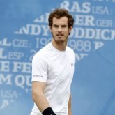 Andy Murray