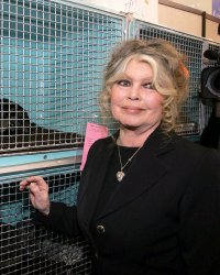 Brigitte Bardot et sa Fondation pointées du doigt par la Cour des comptes