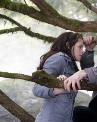 Twilight : un nouveau best-seller pour l'été 2020 ?