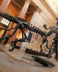 Les 10 musées les plus visités au monde
