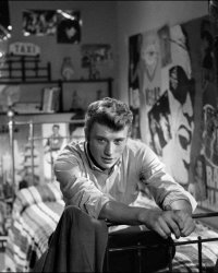 Johnny Hallyday en 10 films