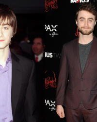 Harry Potter : que sont-ils devenus ?