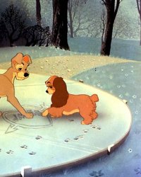 La Belle et le Clochard : des vrais chiens dans le remake !