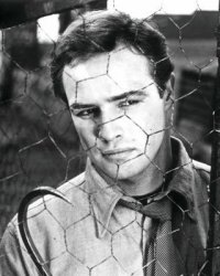 Quiz : quel est le titre de ce film avec Marlon Brando ?