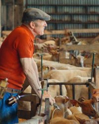 Guillaume Canet se glisse dans la peau d'un agriculteur dans Au nom de la terre
