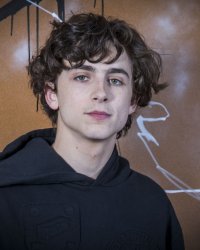 Timothée Chalamet va devenir Bob Dylan pour un biopic