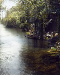 On a vu, on a aimé : Le Livre de la Jungle, une aventure à vivre en famille