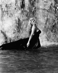 La Dolce Vita : un remake en préparation pour le film de Fellini