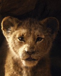 Le Roi Lion : une bande-annonce magnifique pour le remake en live-action