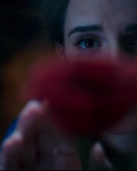 La Belle et la Bête en 3 détails ensorcelant du teaser