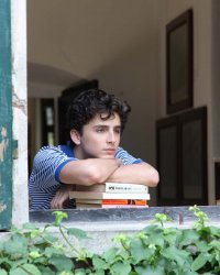 Call Me by Your Name critiqué pour son manque de scènes de nu