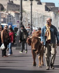 On a vu, on a aimé : La Vache, photographie d'une France solidaire