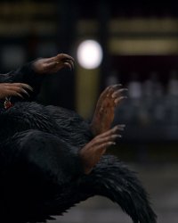 Les Animaux fantastiques 2 : quelles créatures seront de retour ?