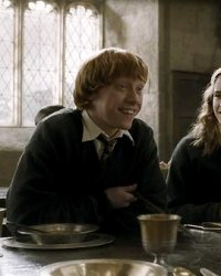 Harry Potter 7 a failli avoir un triangle amoureux