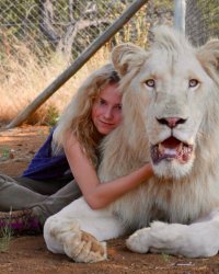 Mia et le Lion Blanc : une aventure extraordinaire sans trucage