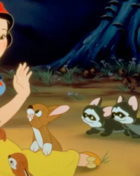 Disney a trouvé sa Blanche-Neige : miroir, miroir joli, qui est l'élue ?