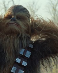 Vu sur le Web: un Chewbacca hilarant, une maison hantée et l'énigme Shia LaBeouf