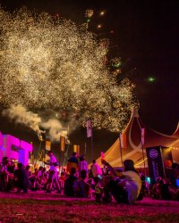 Festival Sziget : la folle programmation de l'édition 2020 se dévoile