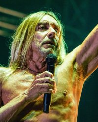 Iggy Pop annonce la sortie de son nouvel album pour septembre 2019