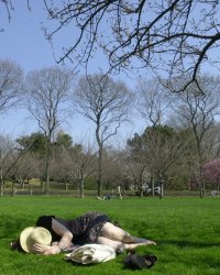 5 chansons pour faire la sieste au soleil