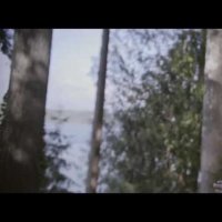 Something in the Woods - Bande annonce 1 - VO - (2021)