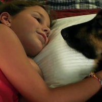 Shakey, un amour de chien - bande annonce - VOST - (2012)