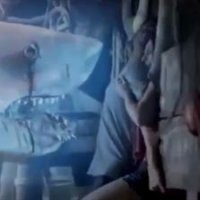 Ghost Shark - bande annonce 2 - VO - (2013)