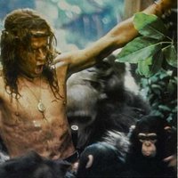 Greystoke, la légende de Tarzan - bande annonce - VO - (1984)