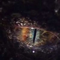 Coeur de dragon 3 - La malédiction du sorcier - bande annonce - VO - (2015)