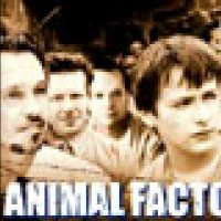 Animal Factory - bande annonce - VOST - (2001)
