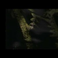 Le Pacte des loups - Teaser 22 - VO - (2001)