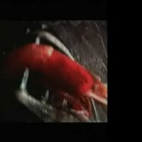 La Planète bleue - Bande annonce 2 - VF - (2003)