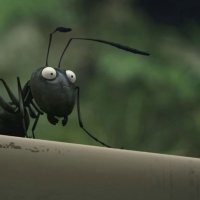 Minuscule - La vallée des fourmis perdues - bande annonce - VF - (2014)