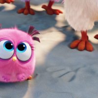 Angry Birds - Le Film - bande annonce 4 - VF - (2016)