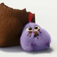 Angry Birds - Le Film - Teaser 14 - VO - (2016)