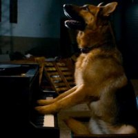 Rintintin à New York - Bande annonce 2 - VF - (2010)
