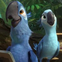 Rio 2 - Bande annonce 5 - VF - (2014)