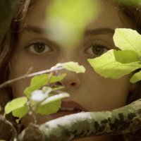 Les Saisons - teaser - (2016)