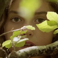Les Saisons - teaser - (2016)