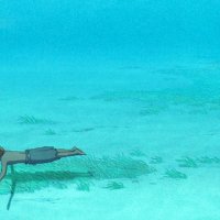 La Tortue rouge - teaser - VF - (2016)