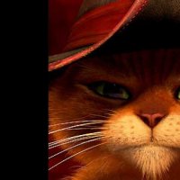 Le Chat Potté - Teaser 7 - VO - (2011)
