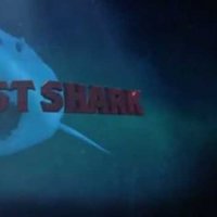 Ghost Shark - bande annonce - VO - (2013)