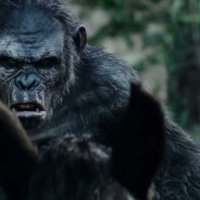 La Planète des singes : l'affrontement - Bande annonce 1 - VF - (2014)