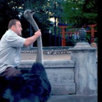 Zookeeper - Bande annonce 10 - VF - (2011)