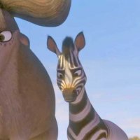 Khumba - bande annonce 2 - VF - (2014)