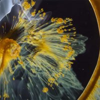 Voyage of Time : Au fil de la vie - bande annonce - VOST - (2017)